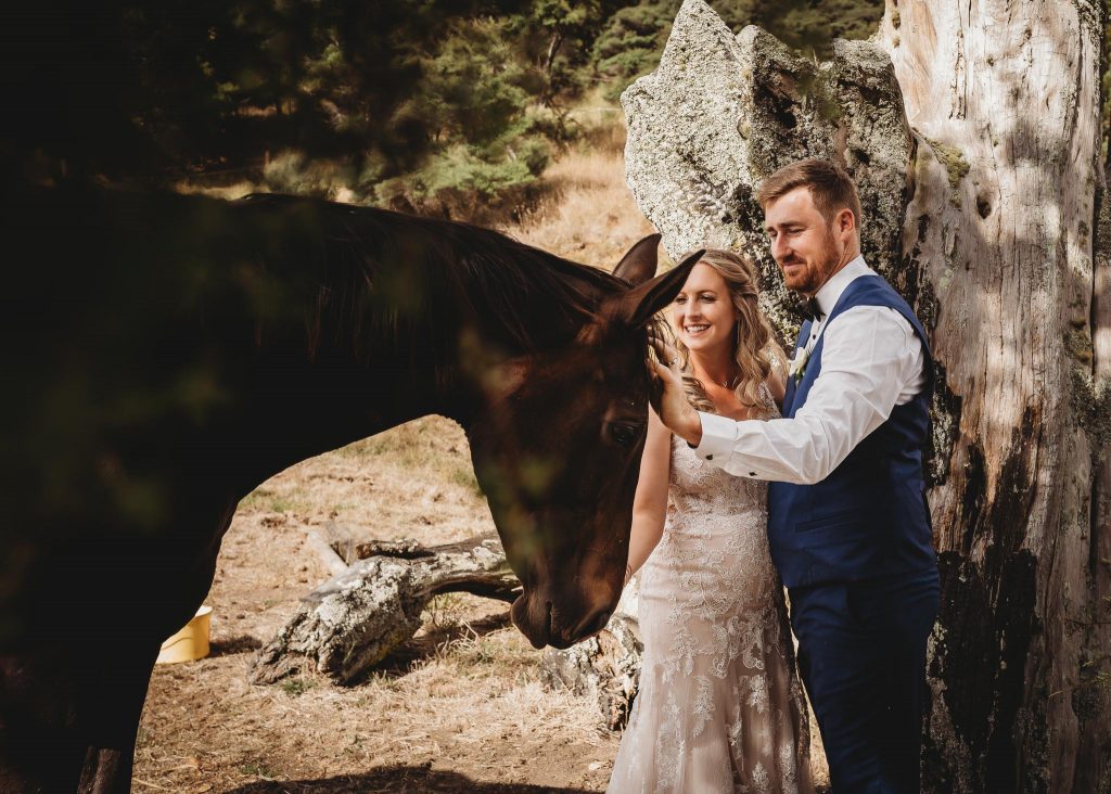 bride and groom patting horse - Auckland Wedding Photographer