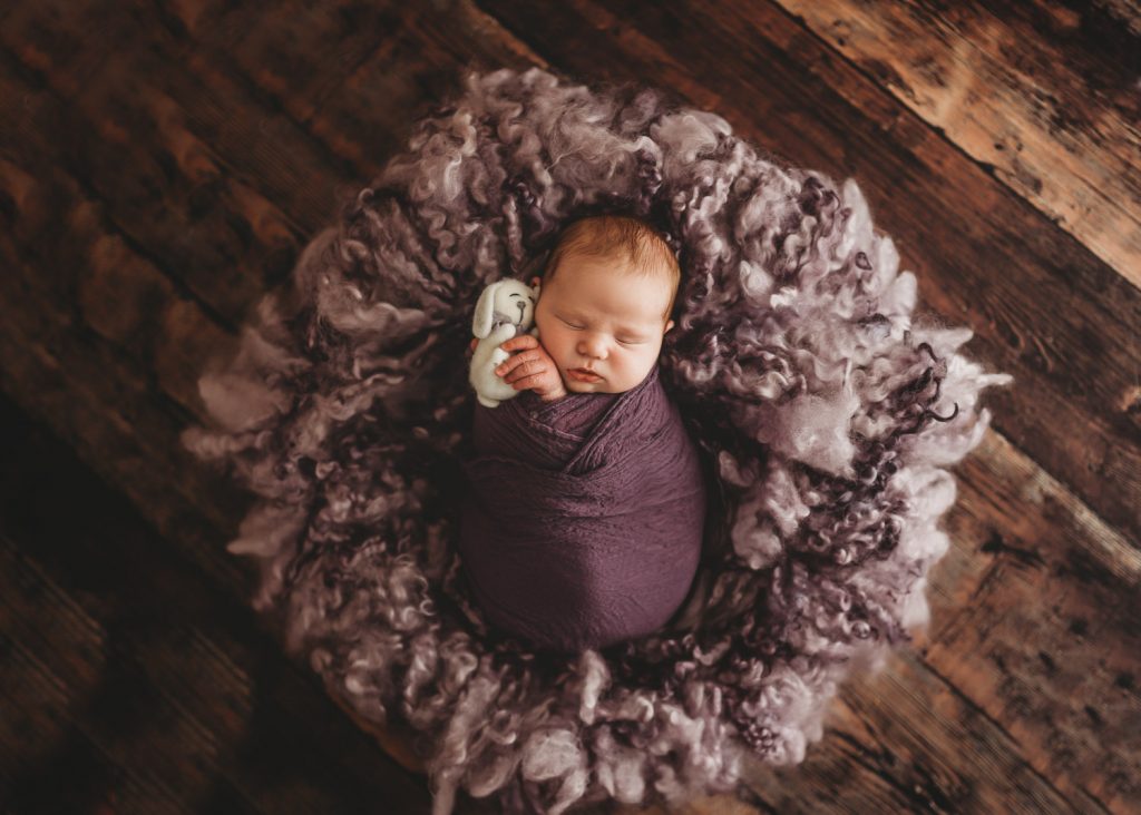 Newborn with fluffy toy – Auckland studio newborn photographer